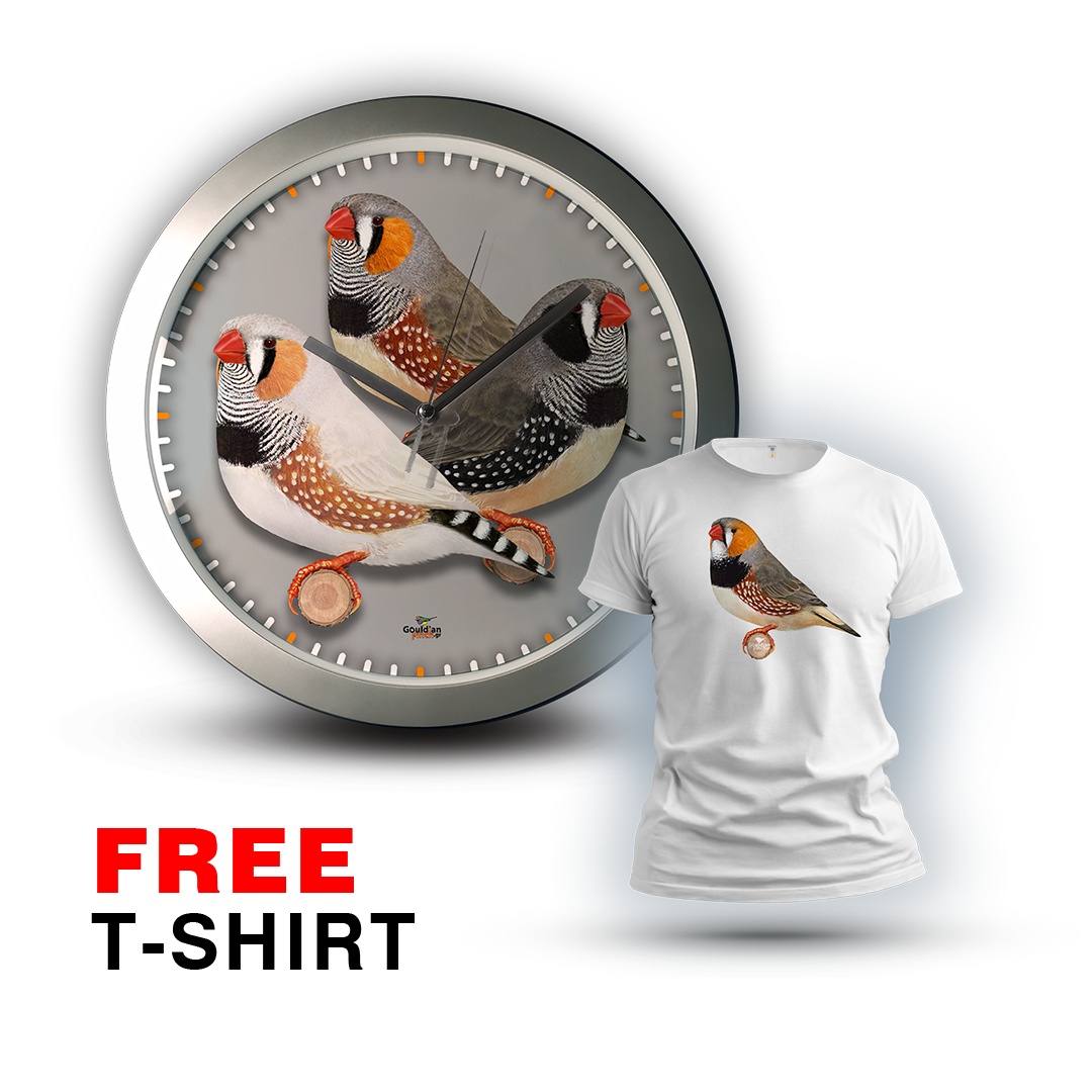 Three Different Mutations Zebra finch males, silver Wall Clock 2026