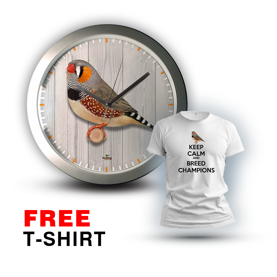Ancestral Gray Zebra finch male, silver Wall Clock 2026