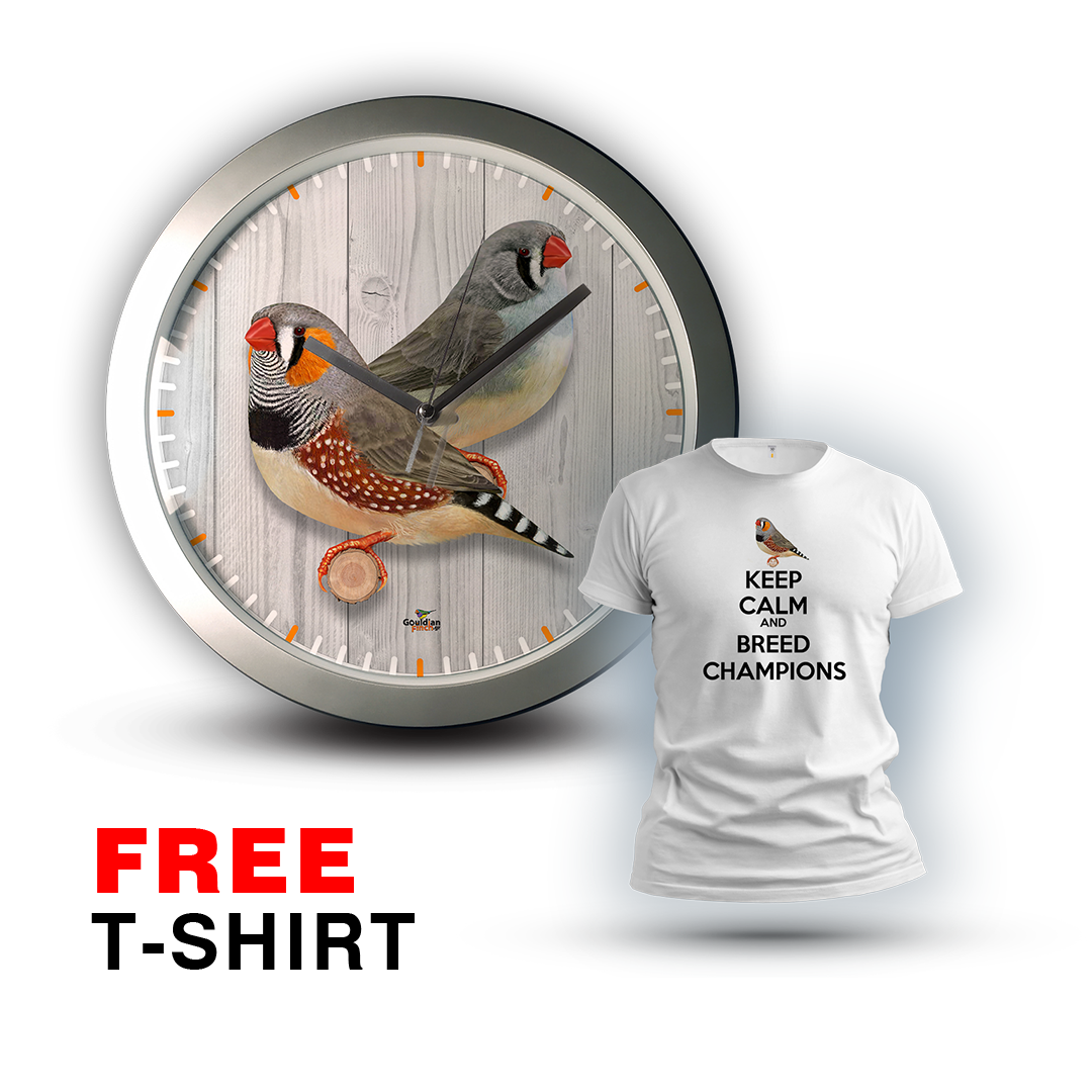 Ancestral Gray Zebra finch Pair, silver Wall Clock 2026