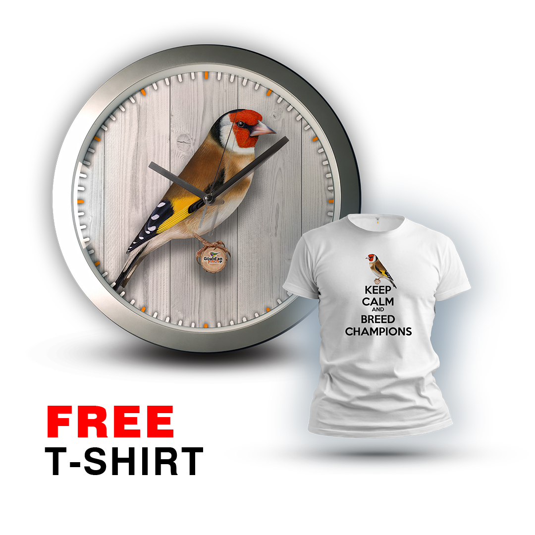 Goldfinch Ancestral male, silver Wall Clock 2026
