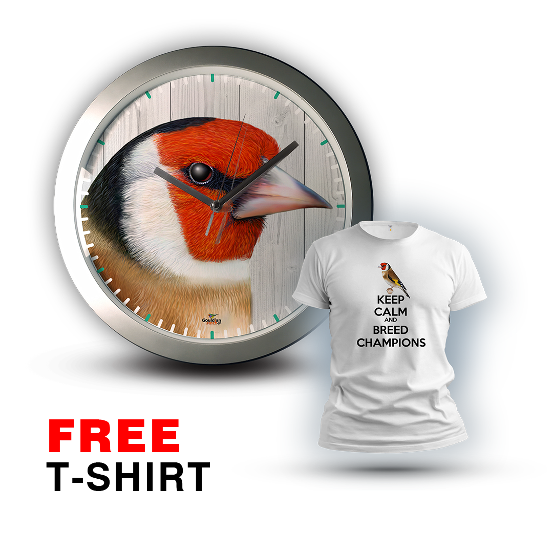 Ancestral male Goldfinch head, silver Wall Clock 2026