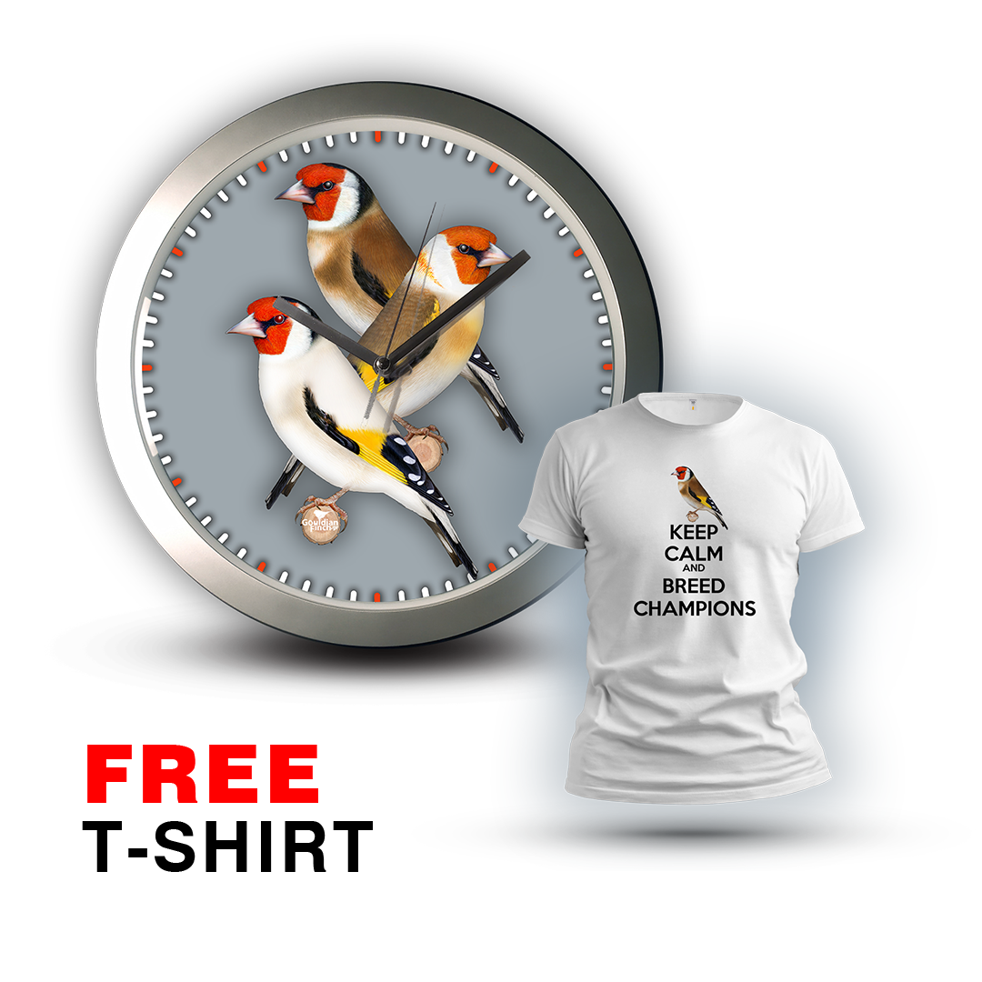 Three Goldfinch Different Mutations, silver Wall Clock 2026
