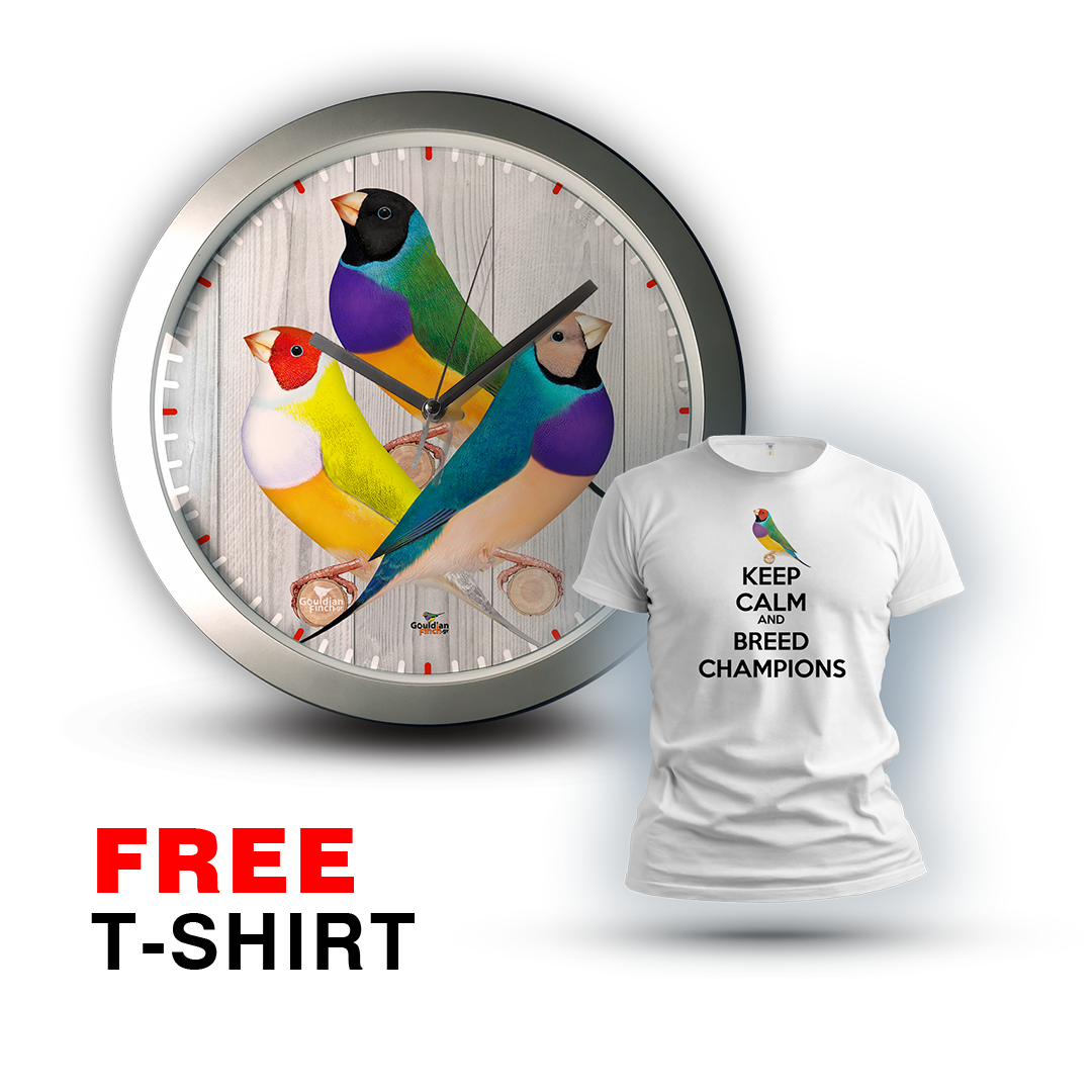 Three basic mutations Gouldian finch silver Wall Clock 2026