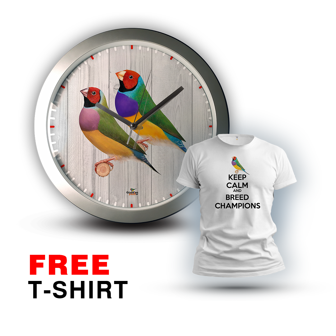 Gouldian Finch Ancestral Pair silver Wall Clock 2026