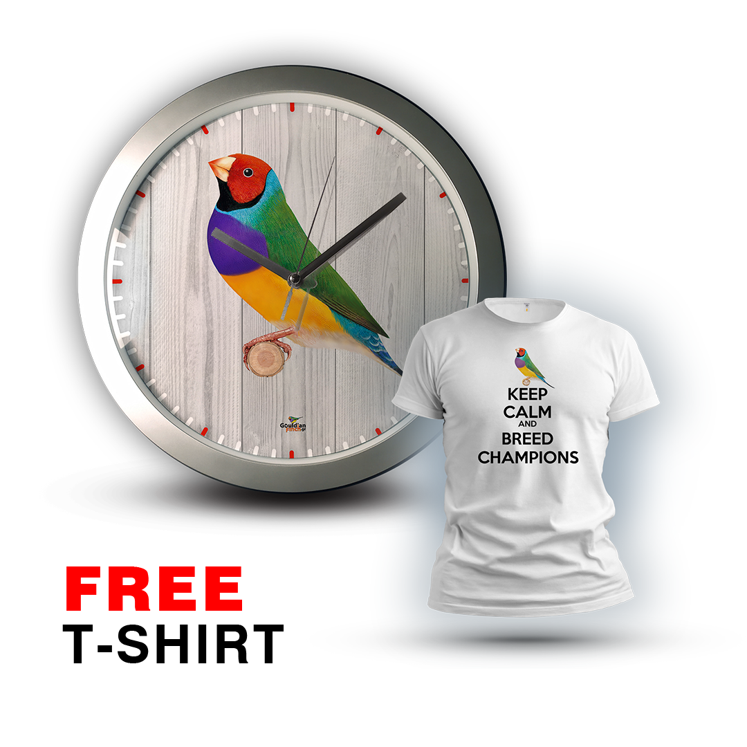 Male Gouldian Red Head silver Wall Clock 2026