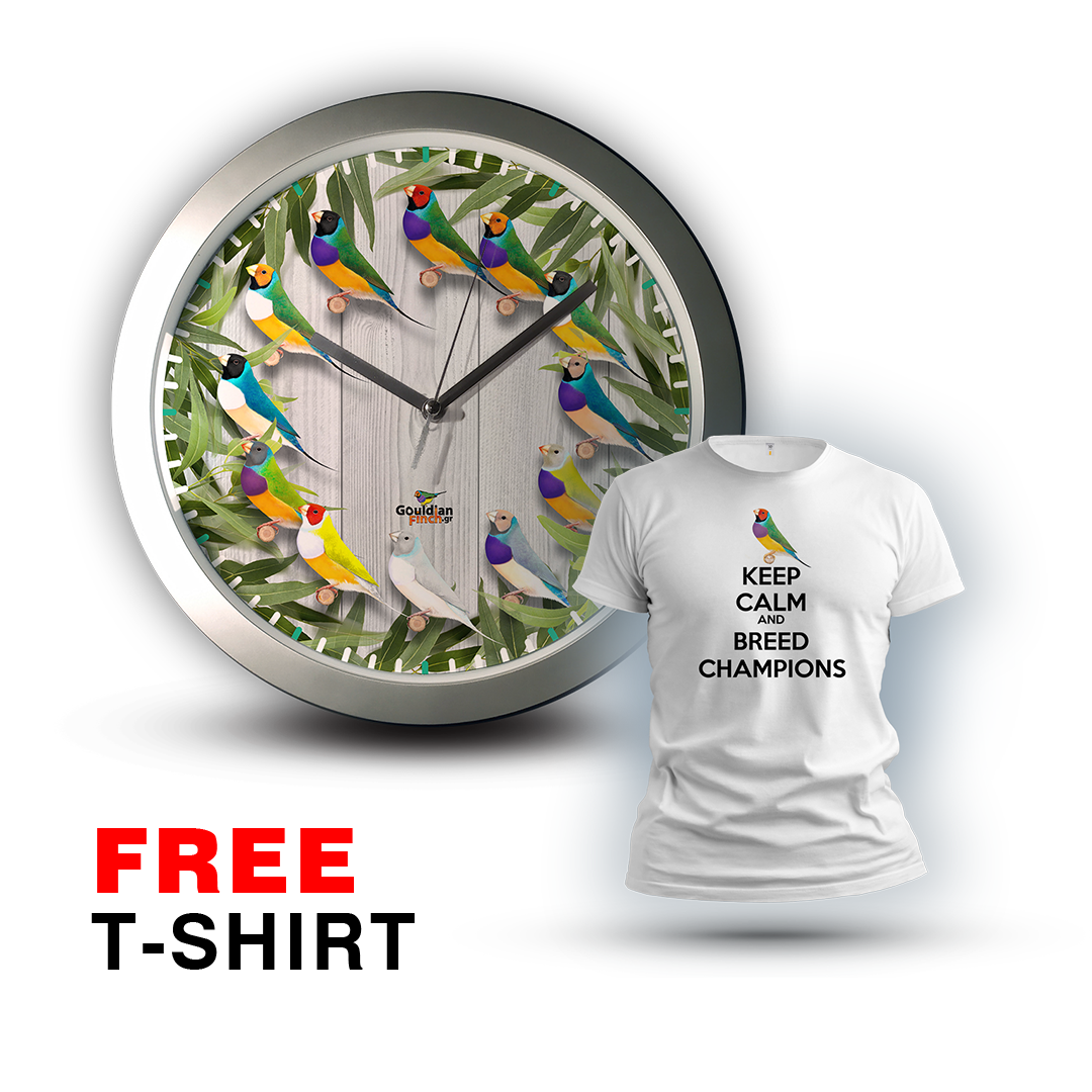 Eucalyptus Different mutations Gouldian silver Wall Clock 2026