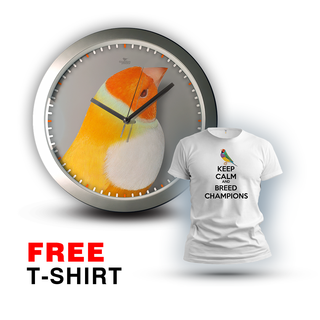 Lutino (Ino) Yellow Head Mutation Gouldian Finch silver Wall Clock 2026