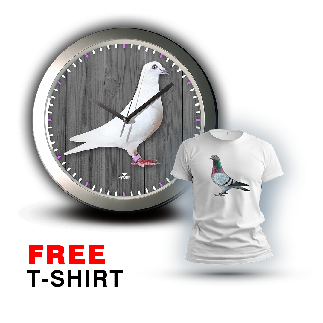 White Racing Pigeon photo, silver Wall Clock 2026