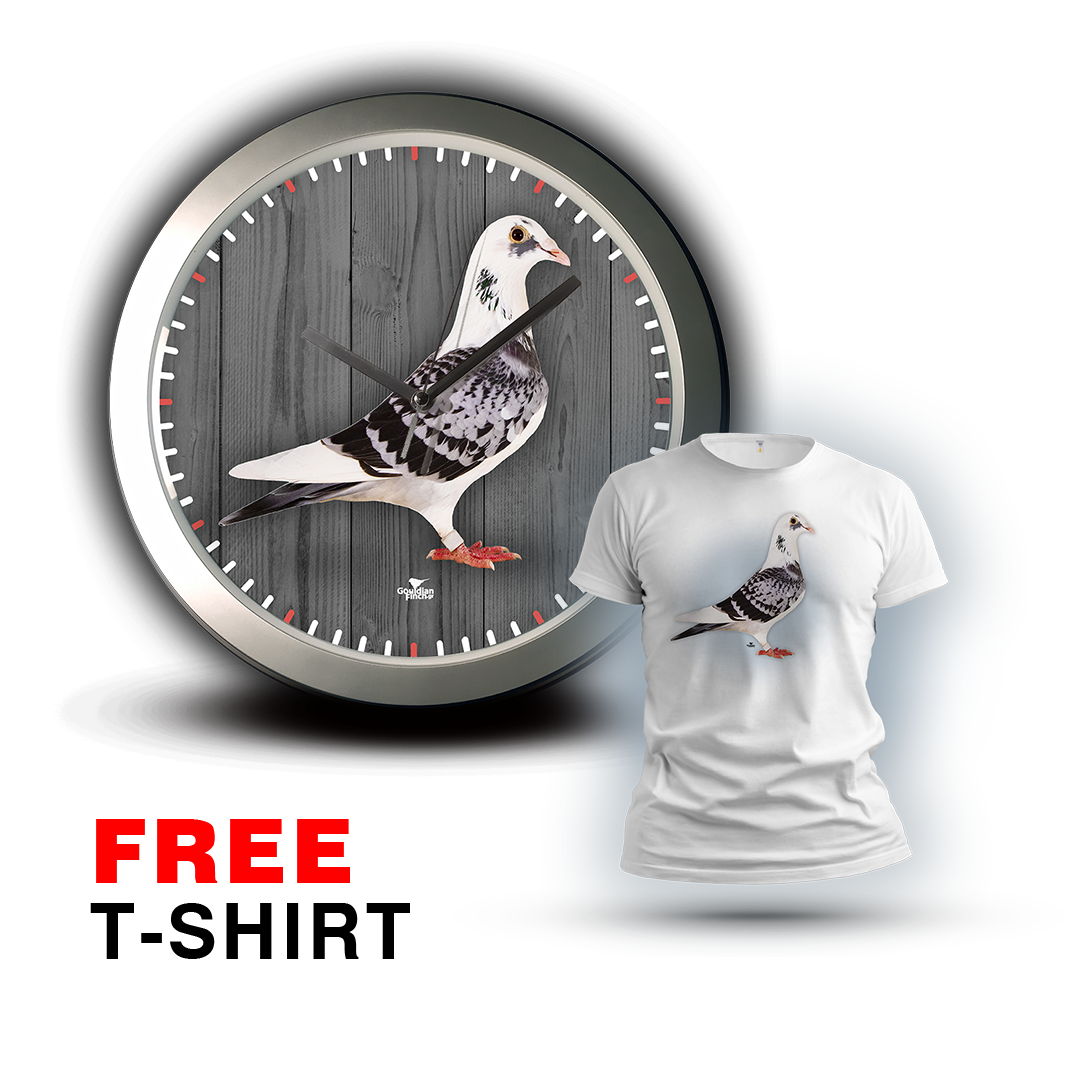 Black & White Check Racing Pigeon photo, silver Wall Clock 2026