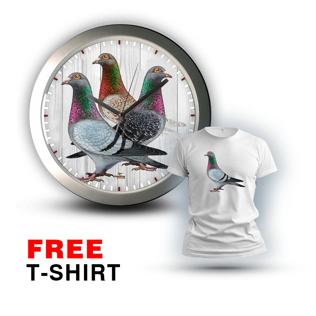 Three Racing Pigeons silver Wall Clock 2026