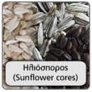 iliosporos
