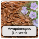 lianosporos