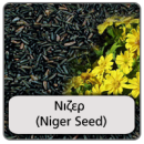 nizer