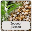 sousami